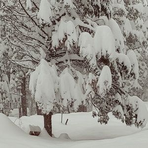 Central Oregon Snow Day